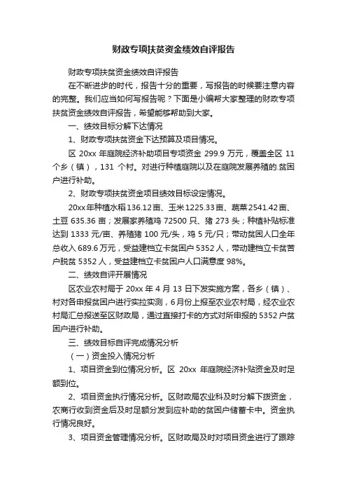 财政专项扶贫资金绩效自评报告