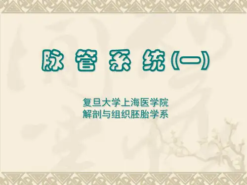 系统解剖学课件：-脉管学总论、心