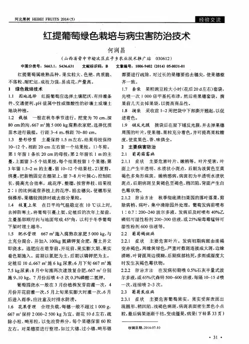 红提葡萄绿色栽培与病虫害防治技术