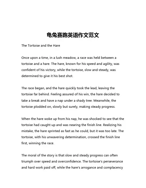 龟兔赛跑英语作文范文