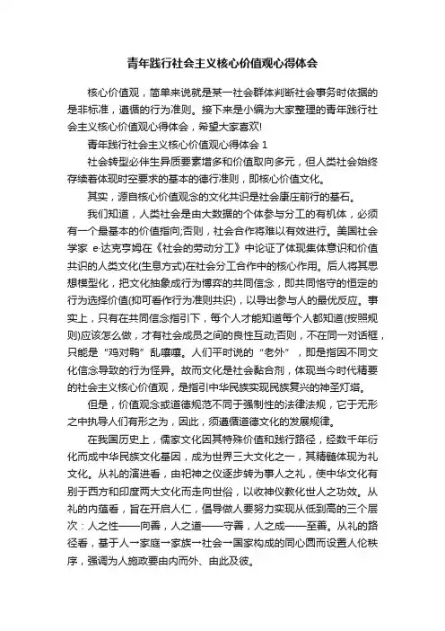 青年践行社会主义核心价值观心得体会