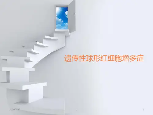 遗传性球形红细胞增多症ppt课件