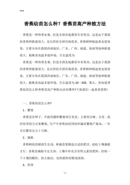 香蕉幼苗怎么种？香蕉苗高产种植方法