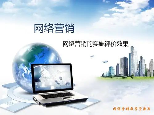网络营销实施的效果评价.