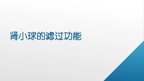 肾小球的滤过功能