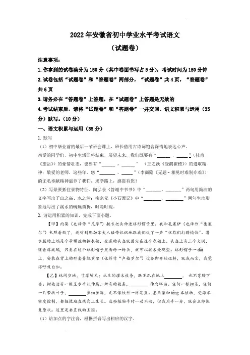 精品解析：2022年安徽省中考语文真题(原卷版)