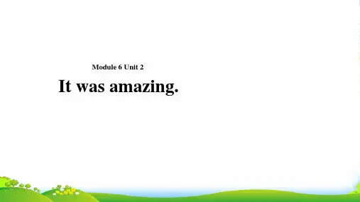 外研版五年级英语下册Module6Unit2Itwasamazing课件
