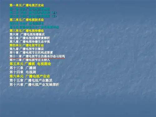 节目形态