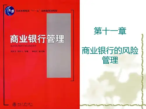 第11章 商业银行的风险管理PPT课件