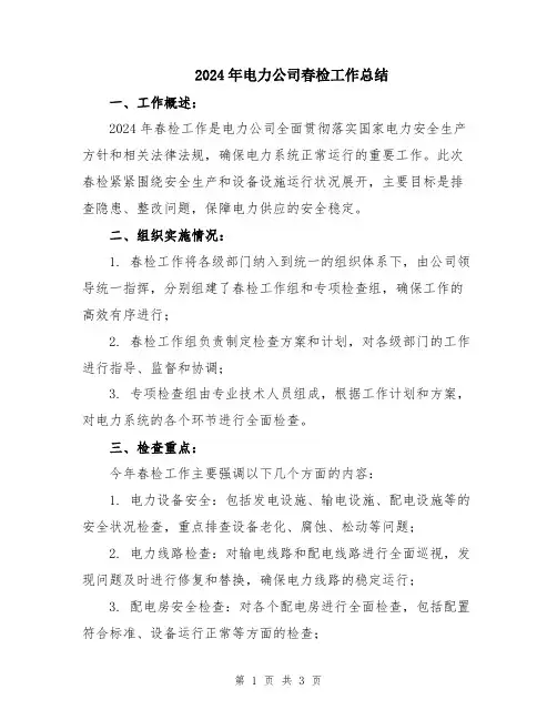 2024年电力公司春检工作总结
