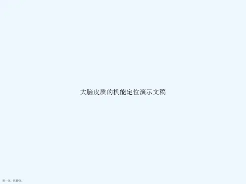 大脑皮质的机能定位演示文稿