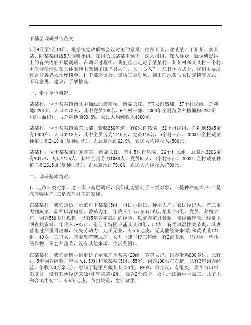 下基层调研报告范文