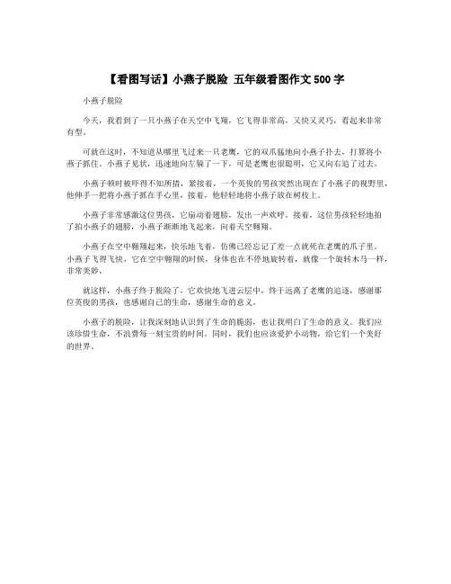 【看图写话】小燕子脱险 五年级看图作文500字