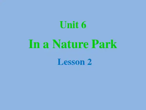 人教PEP版 五年级英语 上册 Unit_6_In_a_Nature_Park