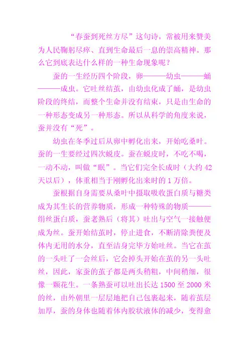 蚕的一生资料