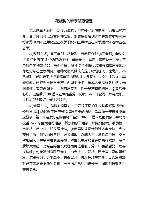 花椒树的春季修剪管理