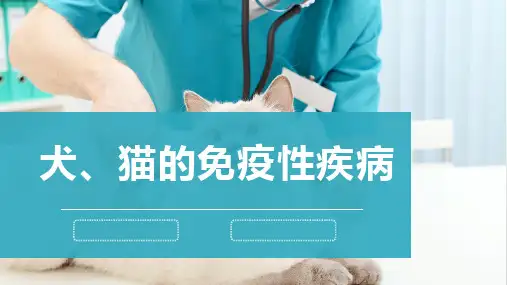 犬猫的免疫性疾病-宠物医生课件