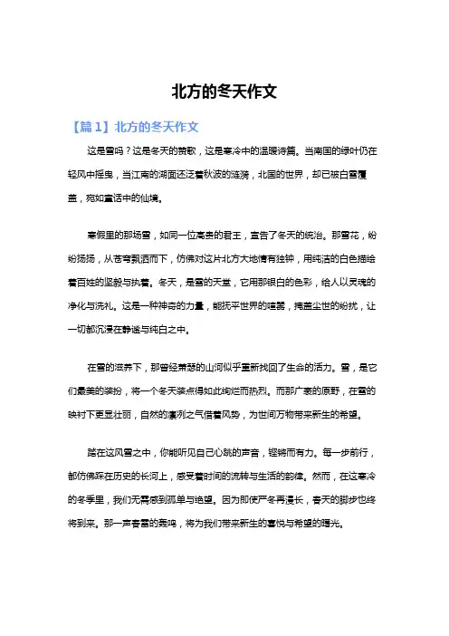 北方的冬天作文