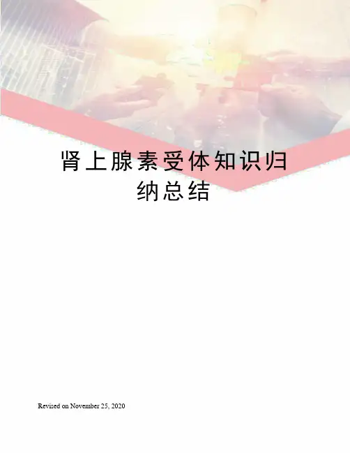 肾上腺素受体知识归纳总结