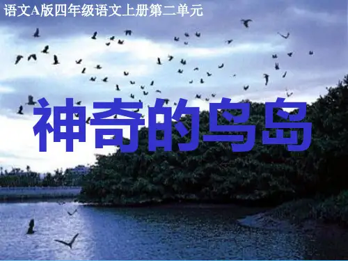 神奇的鸟岛语文课件PPT