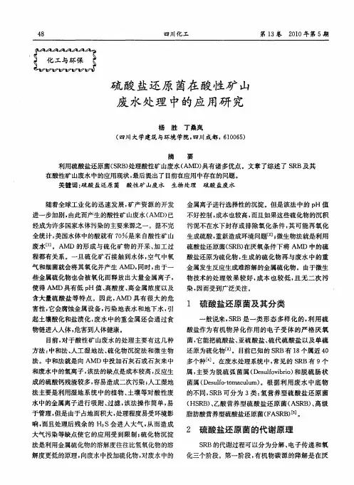 硫酸盐还原菌在酸性矿山废水处理中的应用研究