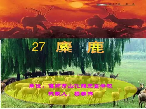 《麋鹿》课件一