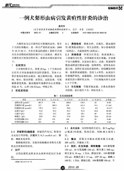 一例犬梨形虫病引发黄疸性肝炎的诊治
