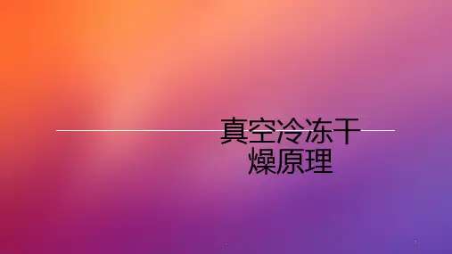 真空冷冻干燥原理ppt课件