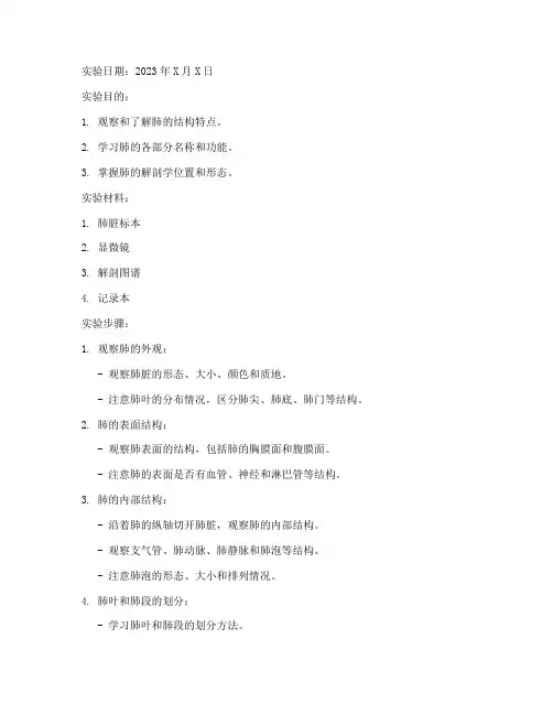 局解实验报告肺