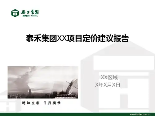 某集团项目定价建议报告PPT(共 45张)