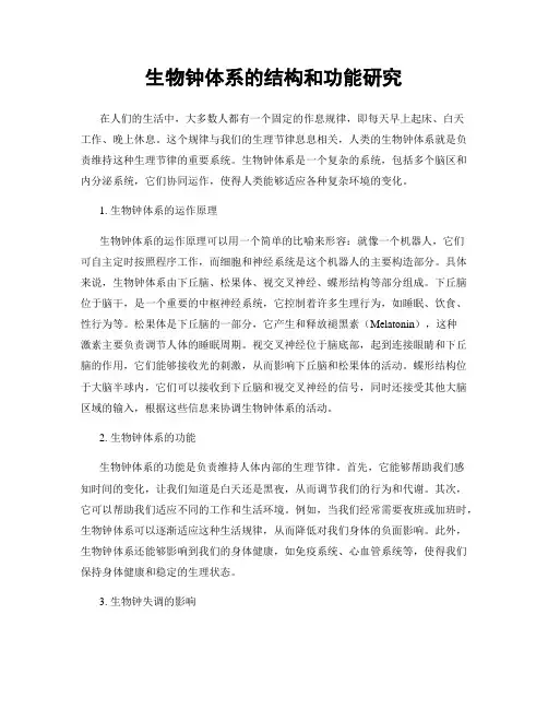 生物钟体系的结构和功能研究