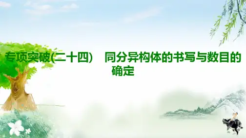2020年高考化学专项突破24 同分异构体的书写与数目的确定