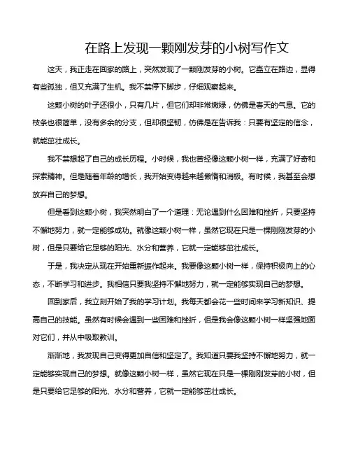 在路上发现一颗刚发芽的小树写作文