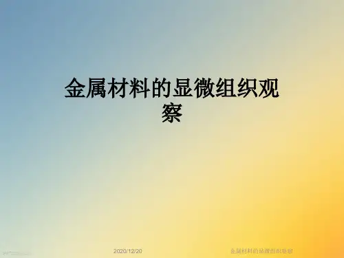 金属材料的显微组织观察