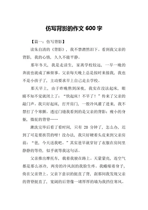 仿写背影的作文600字
