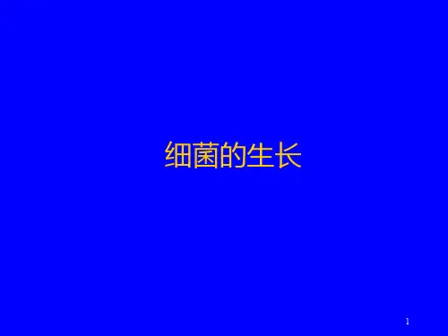 细菌的生长PPT课件