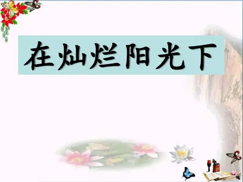 《在灿烂阳光下》PPT课件
