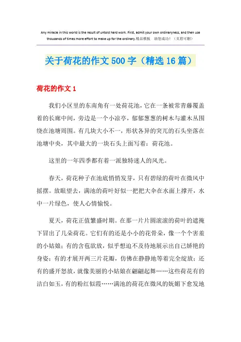 关于荷花的作文500字(精选16篇)