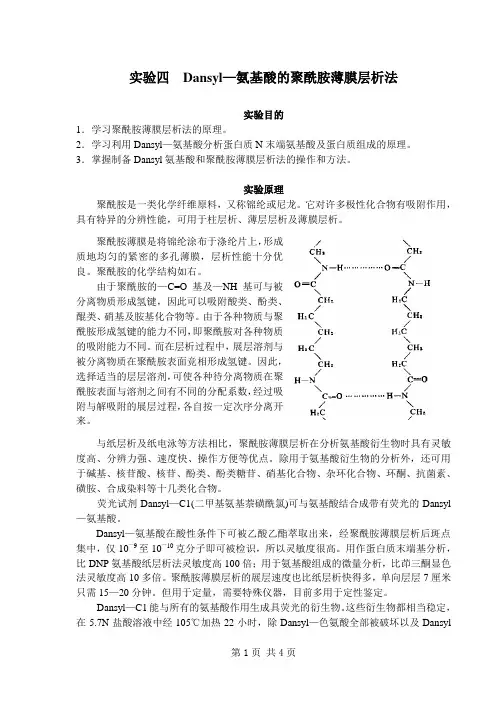 生化实验三  Dansyl—氨基酸的聚酰胺薄膜层析法