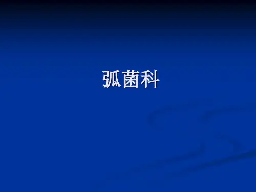 微生物检验11
