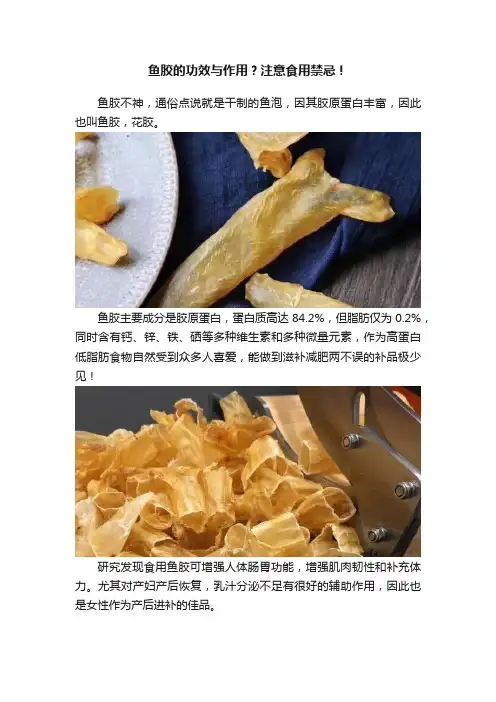 鱼胶的功效与作用？注意食用禁忌！