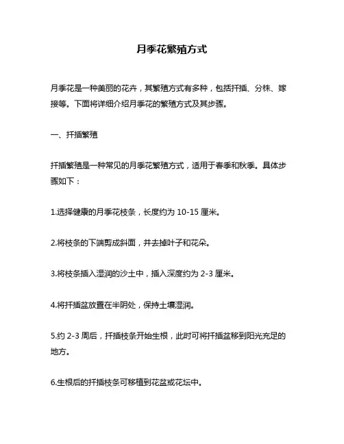 月季花繁殖方式
