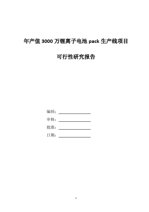 精编锂离子电池生产线项目最新可行性研究报告模板范本