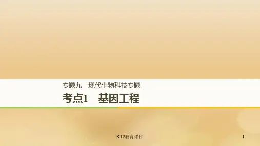 2019高考生物二轮复习 专题九 现代生物科技专题 考点1 基因工程