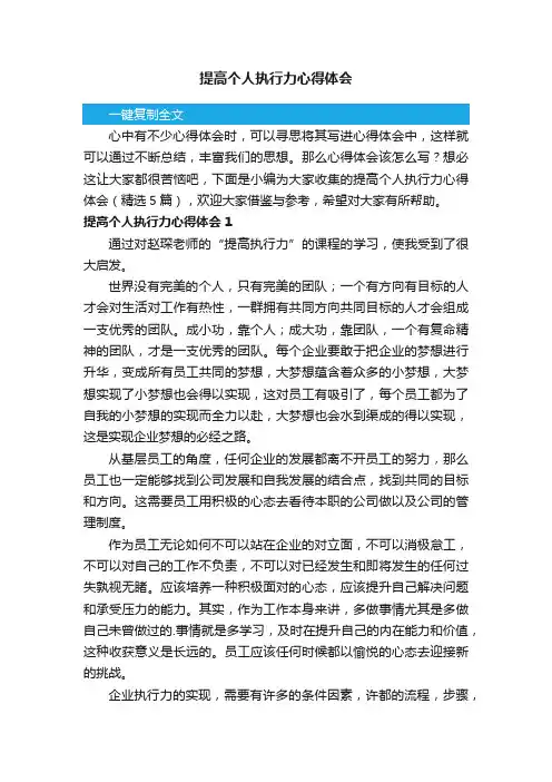 提高个人执行力心得体会（精选5篇）