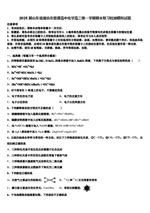2025届山东省潍坊市普通高中化学高三第一学期期末复习检测模拟试题含解析