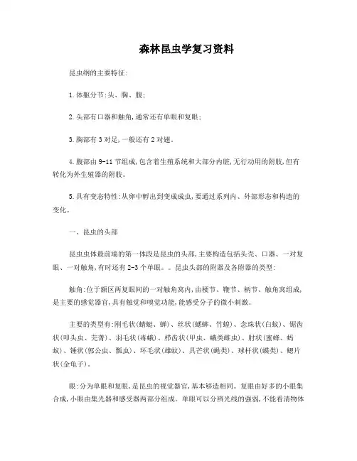 西北农林科技大学普通昆虫学复习资料——森保102班