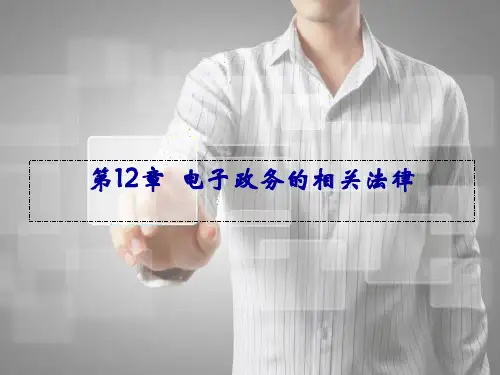第12章 电子政务的相关法律《电子政务》PPT课件