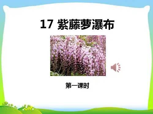 《紫藤萝瀑布》PPT课件(第一课时)