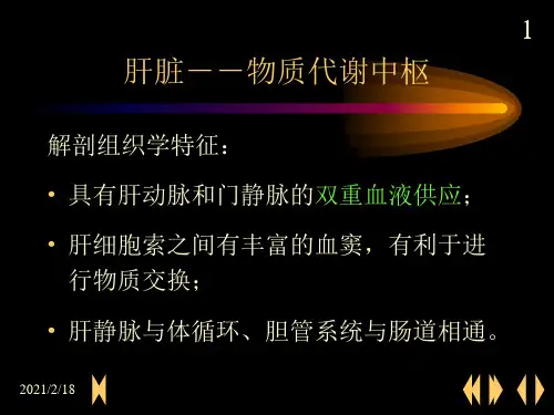 肝的生物化学肝胆生化生物化学